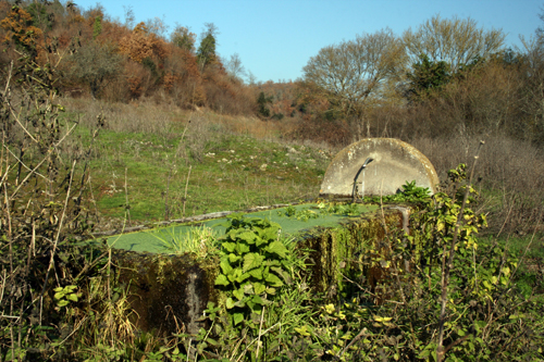 Fontanili del Lazio